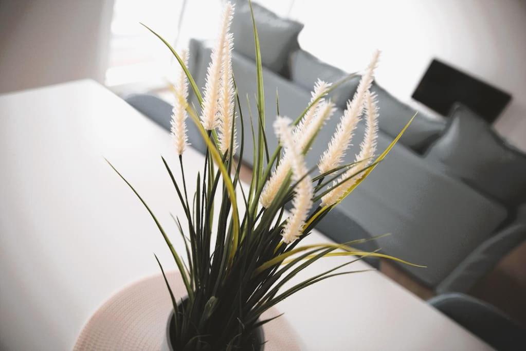 Beautiful Stylish 2Br Apartment In Kirchberg ลักเซมเบิร์ก ภายนอก รูปภาพ